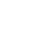 Lionbridge